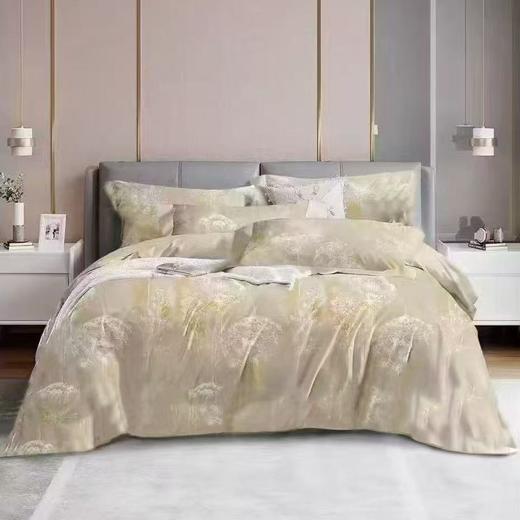 【春上新】10楼恐龙  全棉生态磨毛四件套 索菲亚 200*230cm   吊牌价1580元   活动价399元 商品图0