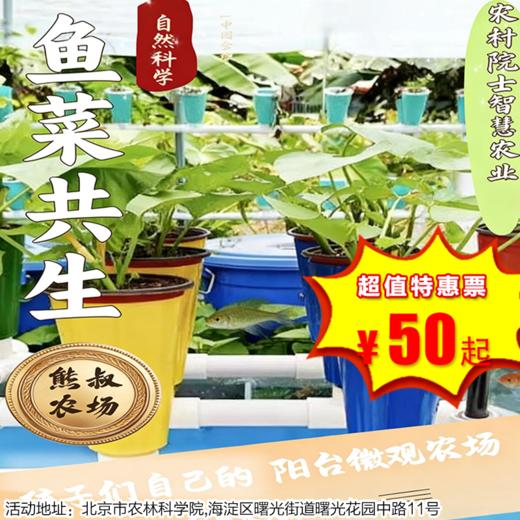 【半日营·12月21日-1月3日】未来农夫５： 走进农科院，智慧农业--水菜共生。孩子自己的阳台微观农场，累计公益时长8小时 商品图0