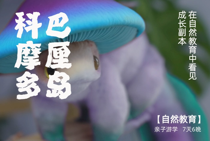 从野性到灵性，在自然教育中看见成长的副本【巴厘岛-科莫多】 7天6晚