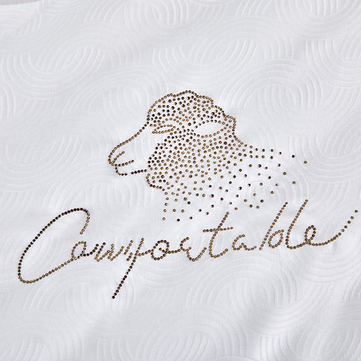 多喜爱 臻奢极暖纯绵羊毛加厚冬被【100%新疆纯绵羊毛】【60S细羊毛】【60S提花面料】【丝光工艺】加厚填充 舒适温暖 细腻亲肤 烫钻工艺 PU皮手提包 商品图4