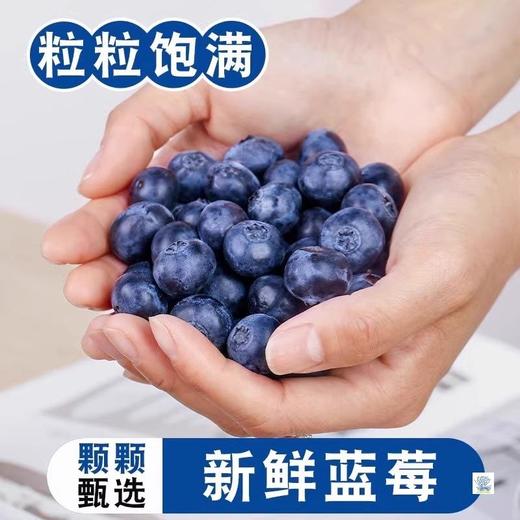 云南有机种植蓝莓  蓝莓鲜果 精选蓝莓王 商品图1