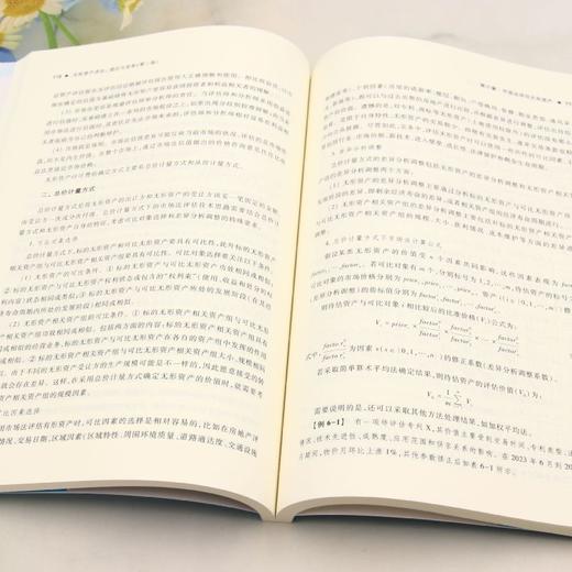 无形资产评估:理论与实务(第二版) 商品图4
