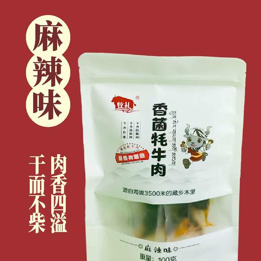 香菌牦牛肉（五香味100g+香辣味100g） 商品图2