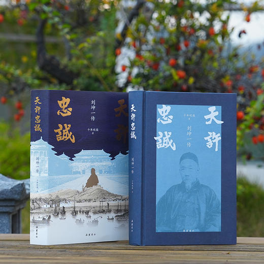 天许忠诚：刘坤一传 商品图2