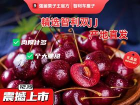 【强丽优选】双J桑提娜智利进口车厘子5斤