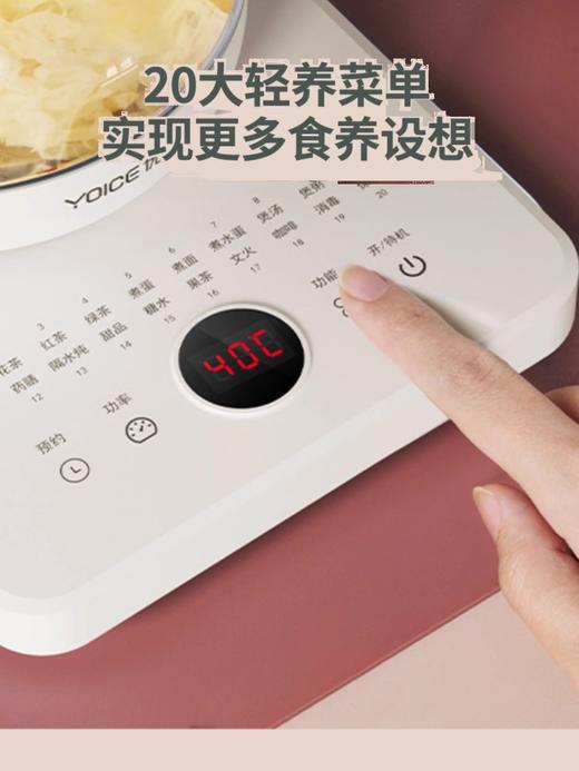 优益YSH30A养生壶 （送蛋架） 商品图0