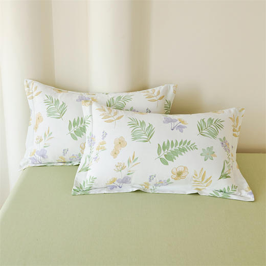 皮尔卡丹 纯棉四件套- 莱茵春色PCAZ-02528 商品图3