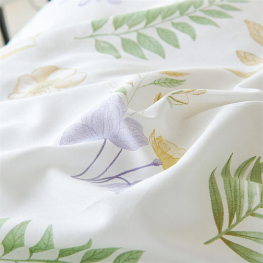 皮尔卡丹 纯棉四件套- 莱茵春色PCAZ-02528 商品图0