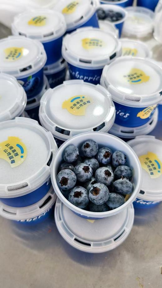 【会员21.5/盒】云南抚仙湖花香蓝莓杯 果径18mm+ 100g/杯 商品图8