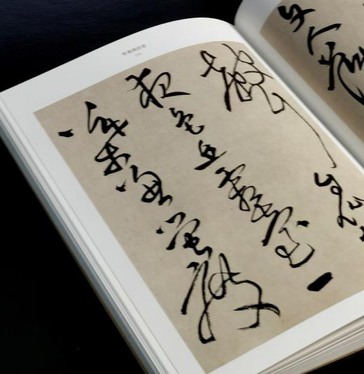 彩色放大本中国著名碑帖之:《王铎名笔》，布脊精装，8开，王铎著，上海辞书出版社2020年一版，定价420，售价148元。（全新塑封包邮） 商品图14