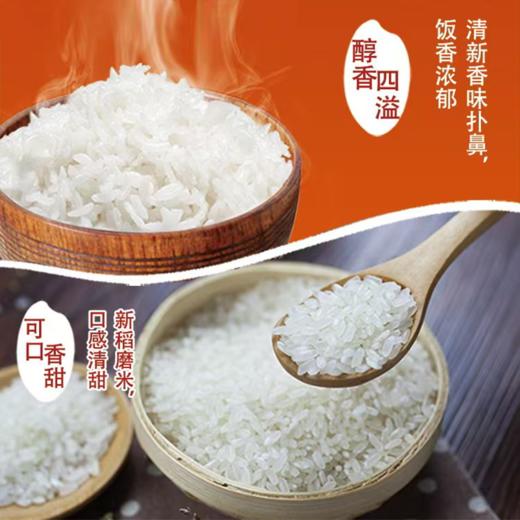 嗯糯有机五常大米 有机认证 新稻磨米 颗粒饱满 软糯劲道 商品图2