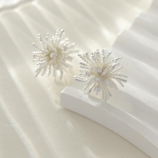 三彩2026新款立体浪漫蒲公英耳钉时尚梦幻镀银耳饰养耳清新约会女 商品图2