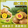 【巴蜀出品，必属精品】来自猕猴桃核心种植区 黄心/红心猕猴桃，一次吃到两种口感 奇异果 金果 现摘现发 满满维C 商品缩略图7