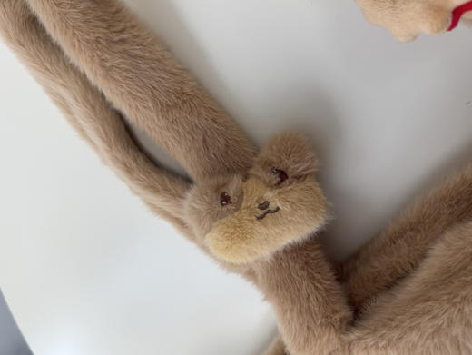 【秒杀价已调 直接拍】野兽派又来啦 大脸毛绒 托特包 大容量通勤包 商品图11