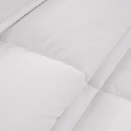水星家纺抗菌DH威尔抗菌澳洲羊毛被 220cm×240cm 126789 商品图4