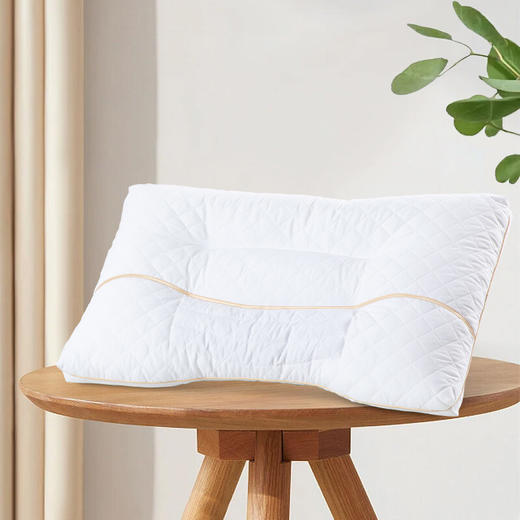 水星家纺 梵可黄荆子抗菌枕 74cm*48cm 舒适健康 草本枕123035 商品图0