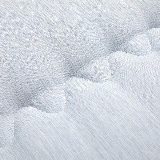 水星家纺单人DH流光溢彩印花床垫 90cm×195cm 123219 商品图4