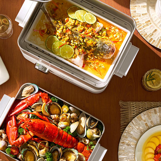 EHA-4416E电蒸锅 商品图2