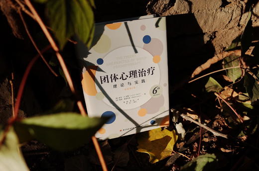 万千心理·团体心理治疗：理论与实践（原著第6版） 商品图2