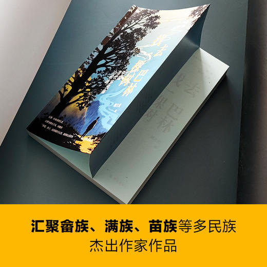 【文学共同体书系】去巴林找一棵树：中国当代多民族小说选 商品图1