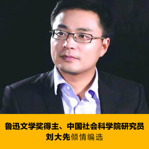 【文学共同体书系】去巴林找一棵树：中国当代多民族小说选 商品图2