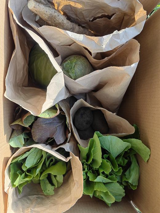 【同行精选】北京当季蔬菜箱 不定制   | 有机方式种植 商品图1