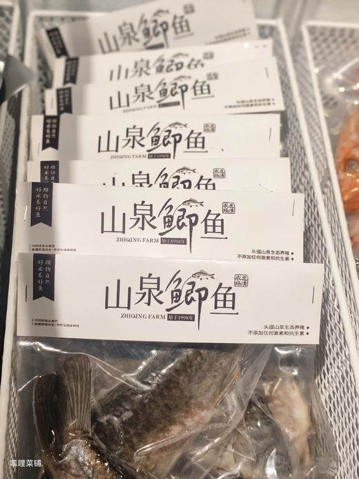 山泉鲫鱼 商品图2