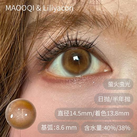 liliyacon 日抛萤火虫光青涩橄榄桃之夭夭南洋琥珀起司小猫笨蛋比熊 商品图0