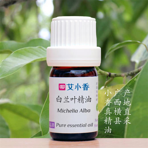白兰叶精油 东方香调 悠悠芬芳 情绪香薰 广西横县产地 商品图0