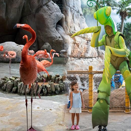 早鸟减1000~【小爱定制】免签含双飞 2026年寒假※最后一团丨迪拜+阿布扎比+沙迦7天5晚畅游阿联酋，我们带孩子一起去触摸真正的阿拉伯世界 商品图3