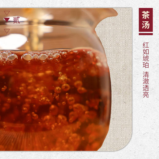 【山纯限品】2025年039和合岩春草林肉桂17g 商品图3