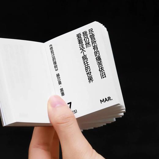 为你写诗 | 2026小小诗集历 商品图3