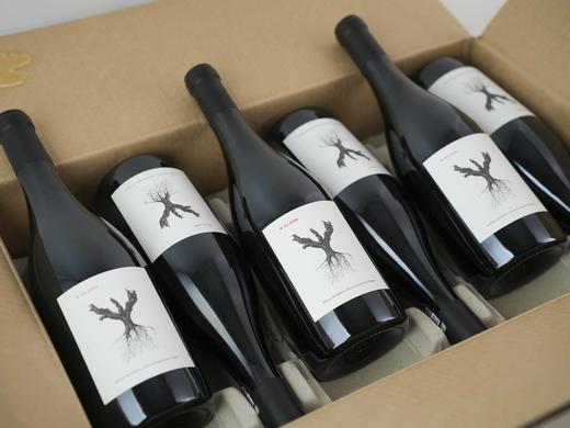 西班牙杜埃罗河岸2020年平古斯PSI葡赛干红 商品图3