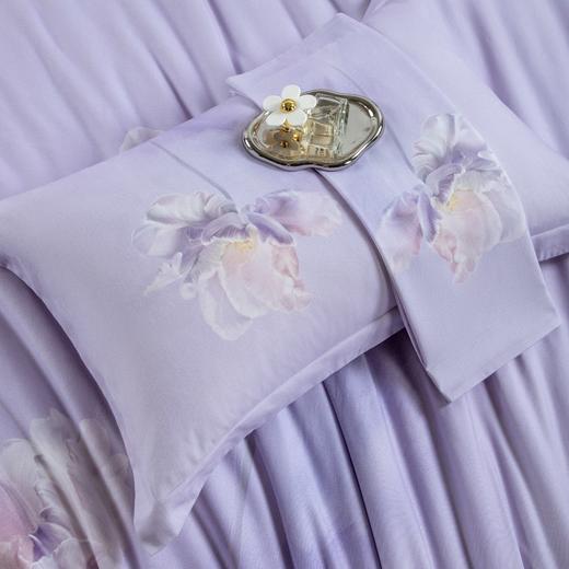 10楼堂皇   全面磨毛印花四件套--染梦 200x230cm   吊牌价1690元活动价399元 商品图2