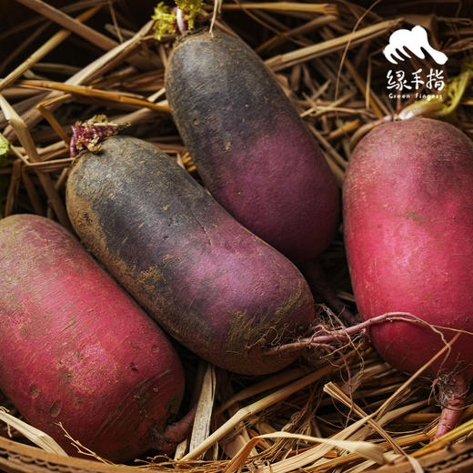 生态水果萝卜（申通快递） | 合作生产*Eco-white radish | Coproduction 商品图1