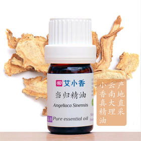 中国当归精油 云南大理马厂当归产地