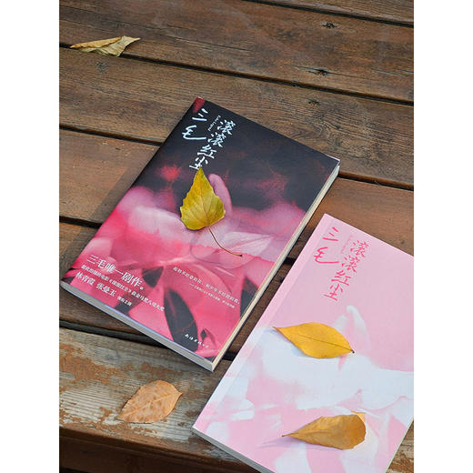 滚滚红尘 商品图3