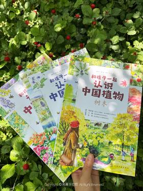 和孩子一起认识中国植物（套装3册）