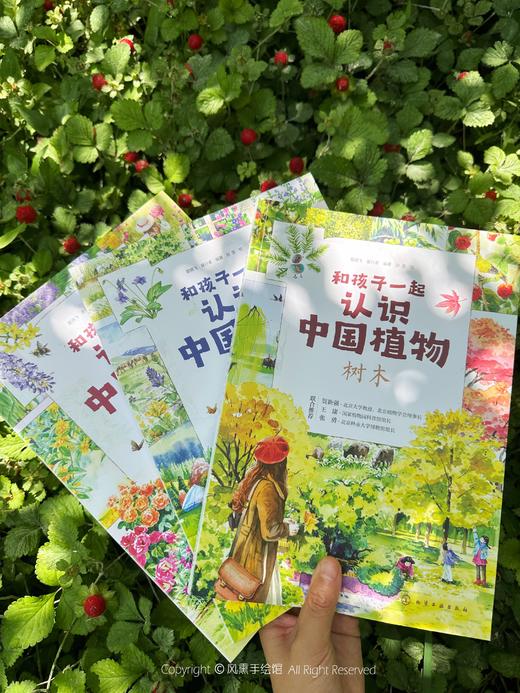 和孩子一起认识中国植物（套装3册） 商品图0