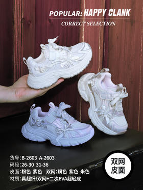 26款 快乐叮当 2603 双网  26-30  米31-36