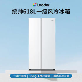 统帅（Leader）海尔冰箱出品618L对开门双开门家用冰箱超大容量一级能效BCD-618WGLSSEDW9