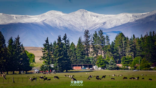 【4月限定·新西兰秋色深度摄影团】16天解锁南岛黄金光影，北岛静谧秋韵全收录 商品图3