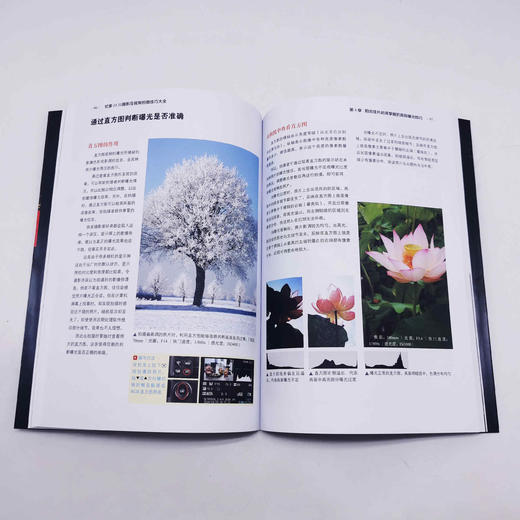 尼康Z6Ⅲ摄影及视频拍摄技巧大全 商品图4