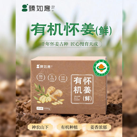 有机鲜怀姜（嫩姜）2斤 商品图0