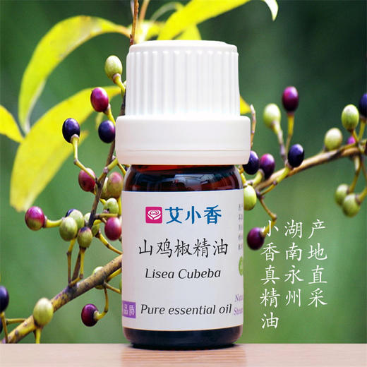 山鸡椒精油 山苍子木姜子清新提神活力香薰 湖南永州产地 商品图0