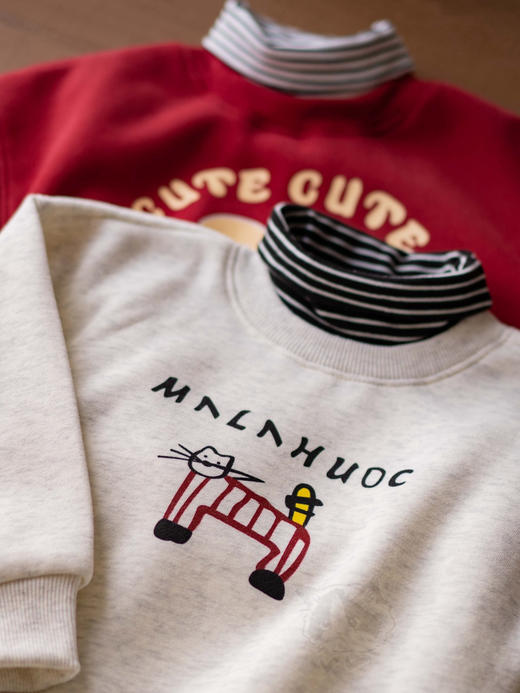 【两件起拍‼️两件高领款】贝叮熊奥粒绒休闲潮童卫衣，20来块钱的卫衣也就这个工厂了
主要用料也用心的 还加了小高领哦 商品图2