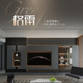 【一体化整家】顾家家居 一体化整家套系化 格雷 799元/m²