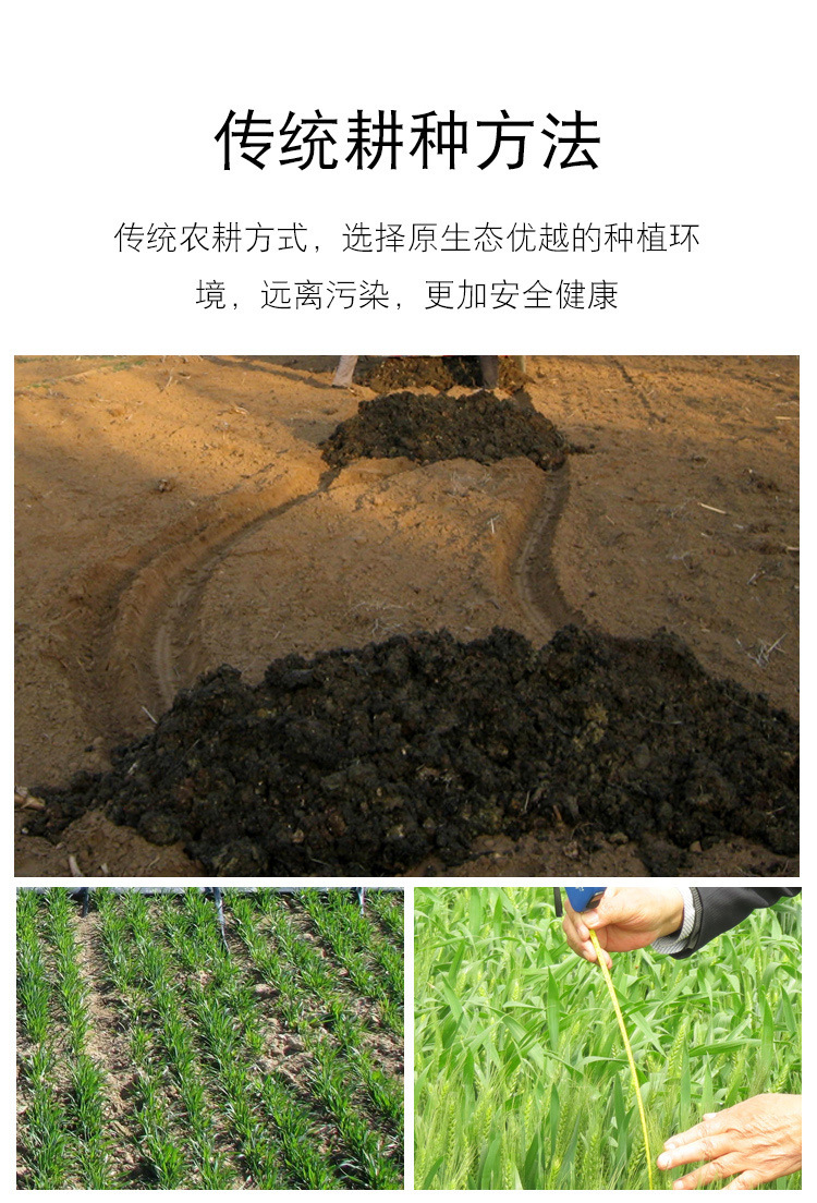 黑五谷礼盒-副本_05