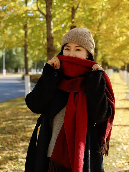 部分预售5天【绞花羊绒帽子】显脸小的款式 耐看10年的经典 商品图2