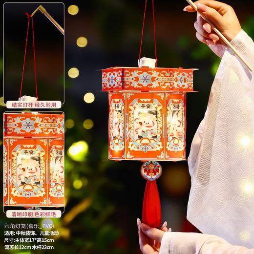 【19.9元2个！超划算发光投影花灯】儿童手提花灯挂饰 手工DIY古风宫灯 新年花灯 商品图4